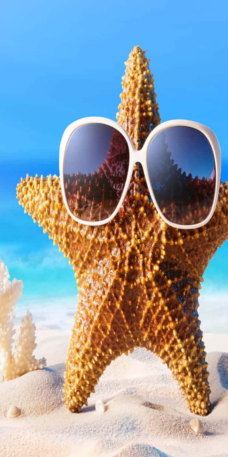 Download Starfish Sunglasses Pixel 3