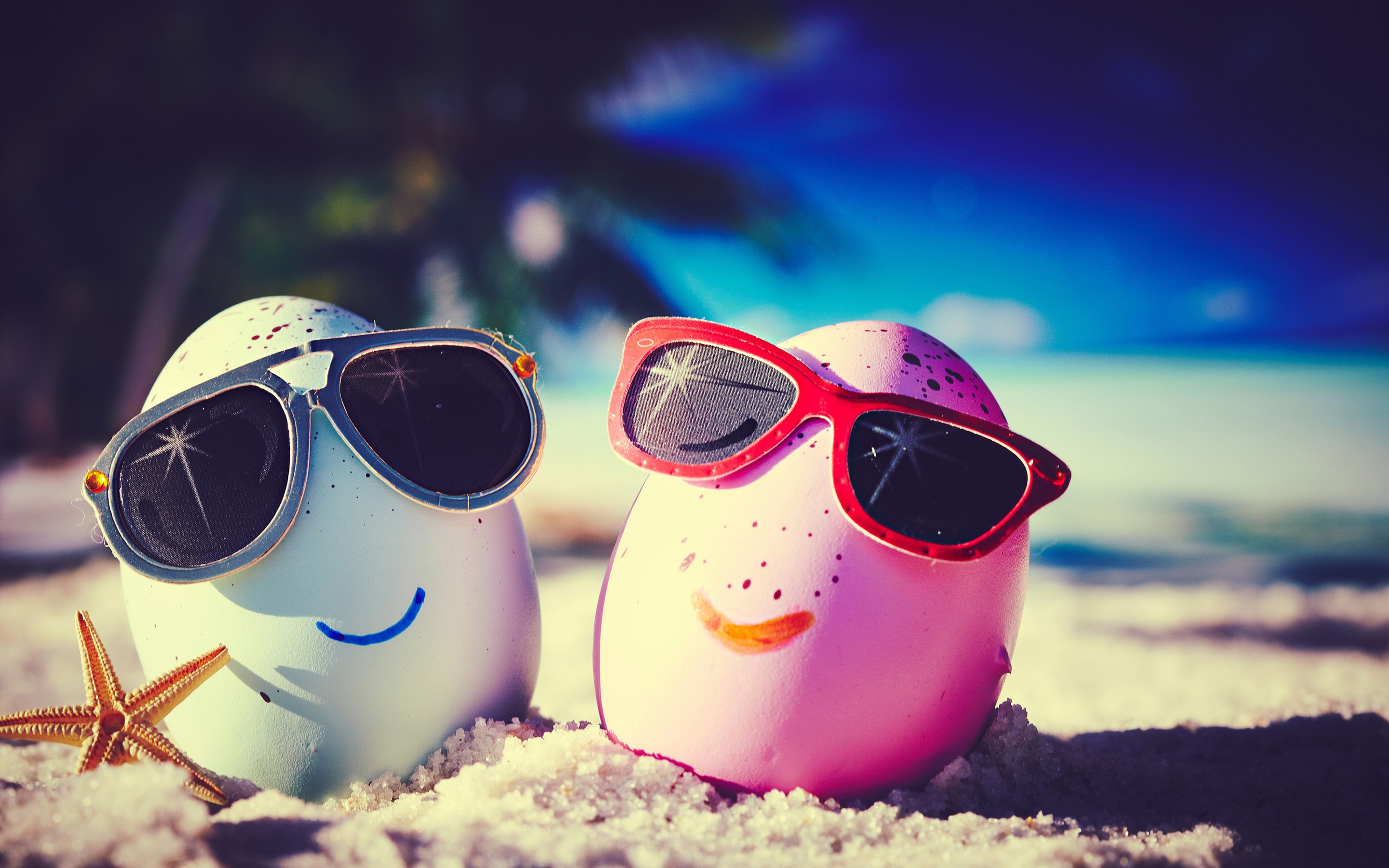 Sunglasses Summer Beach Funny Egg