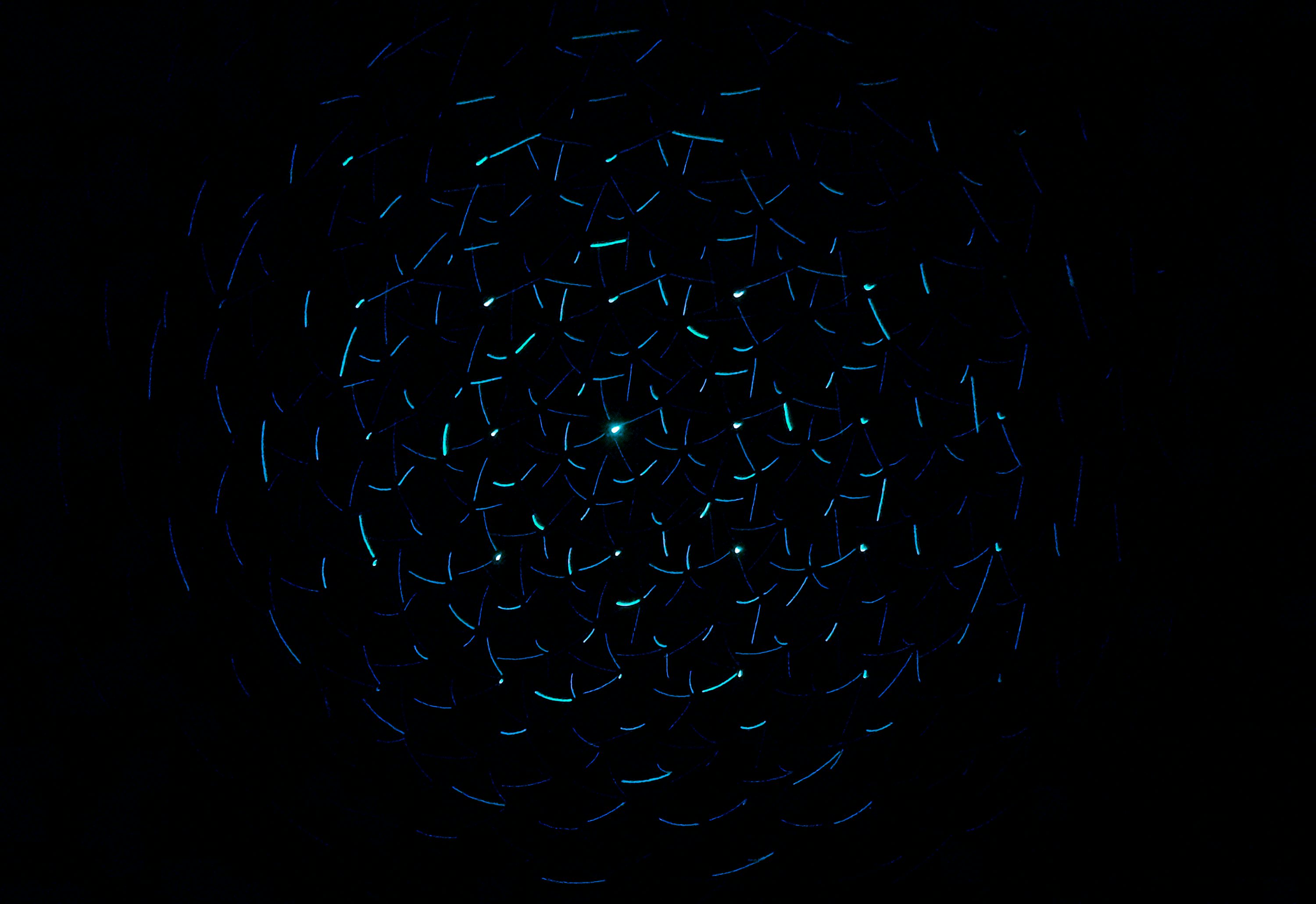 Black Technology Picture. Download Free Image