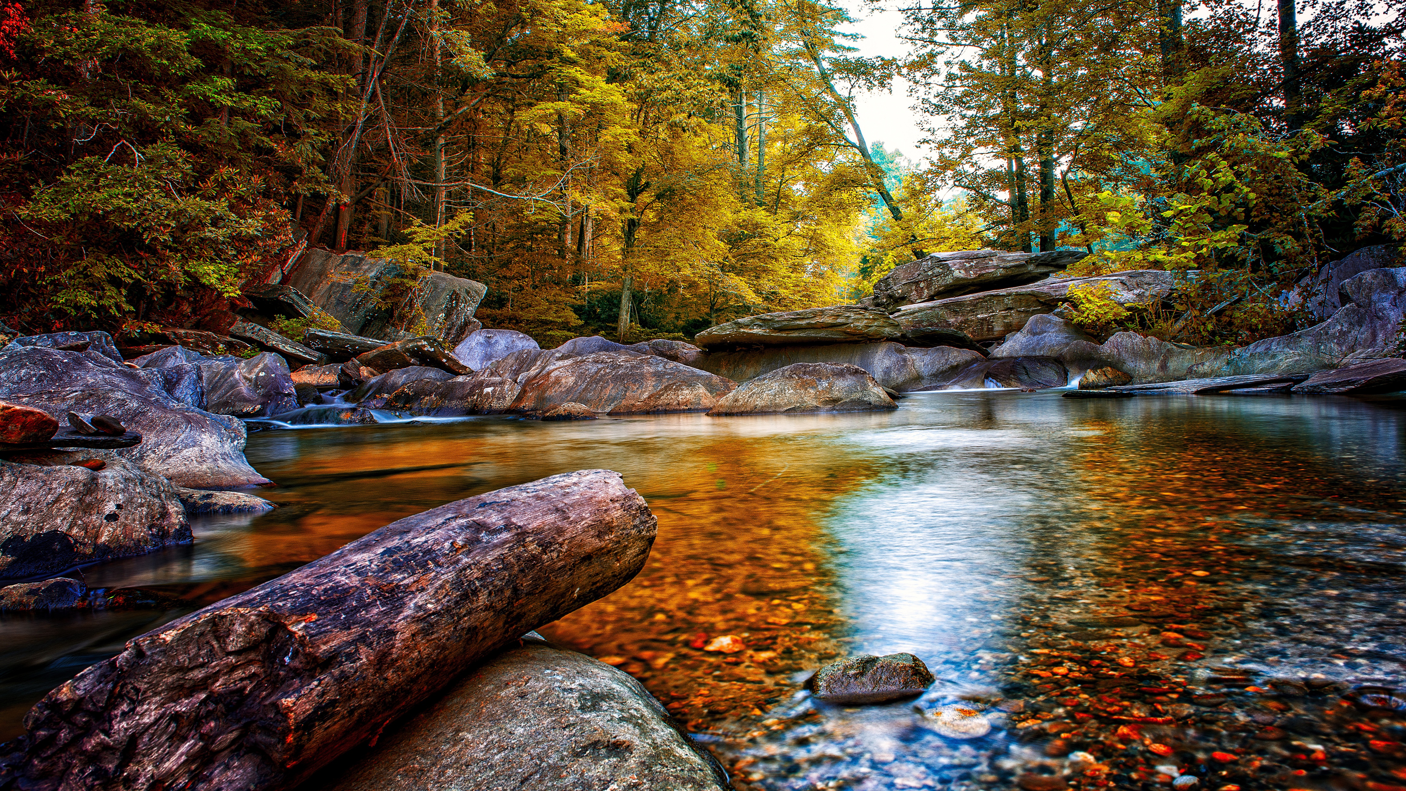 Nature Stream 4k Ultra HD Wallpaper