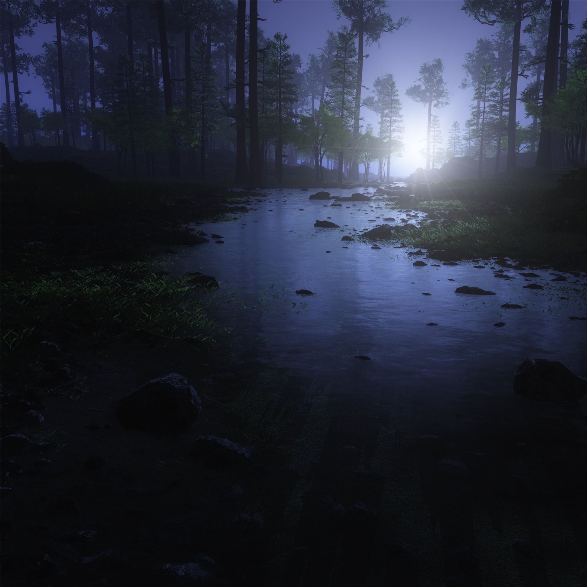 water stream night forest 4k iPad Air