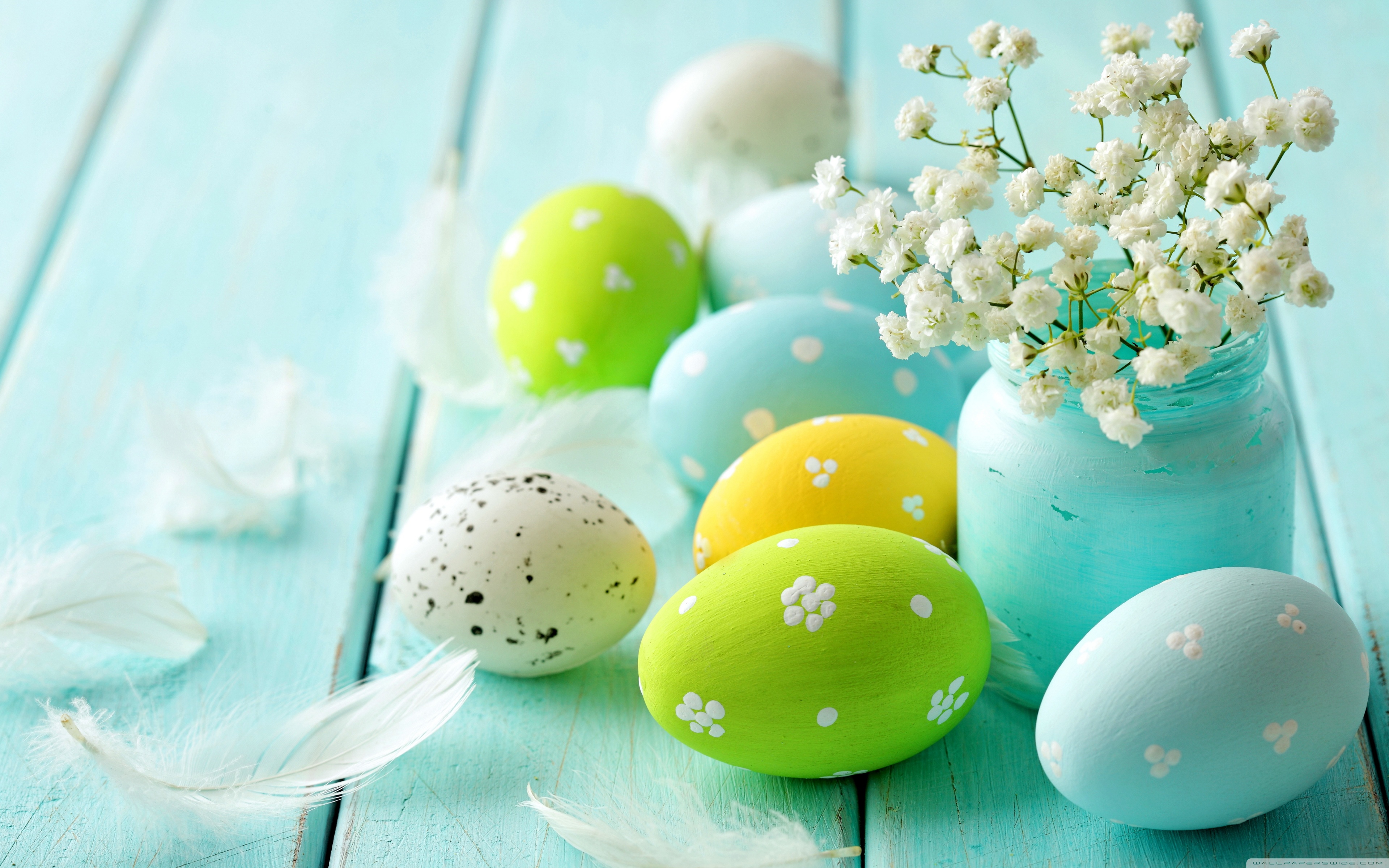 Eggs 4K UHD Wallpaper for UltraHD