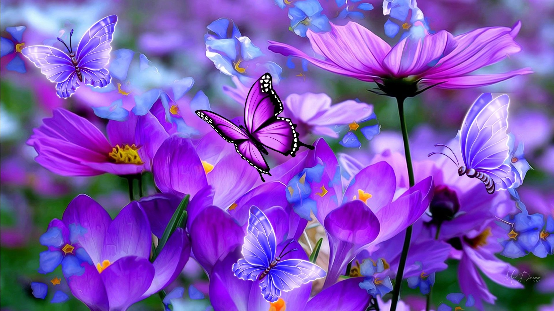 Butterfly Symphony: Purple Blossoms HD