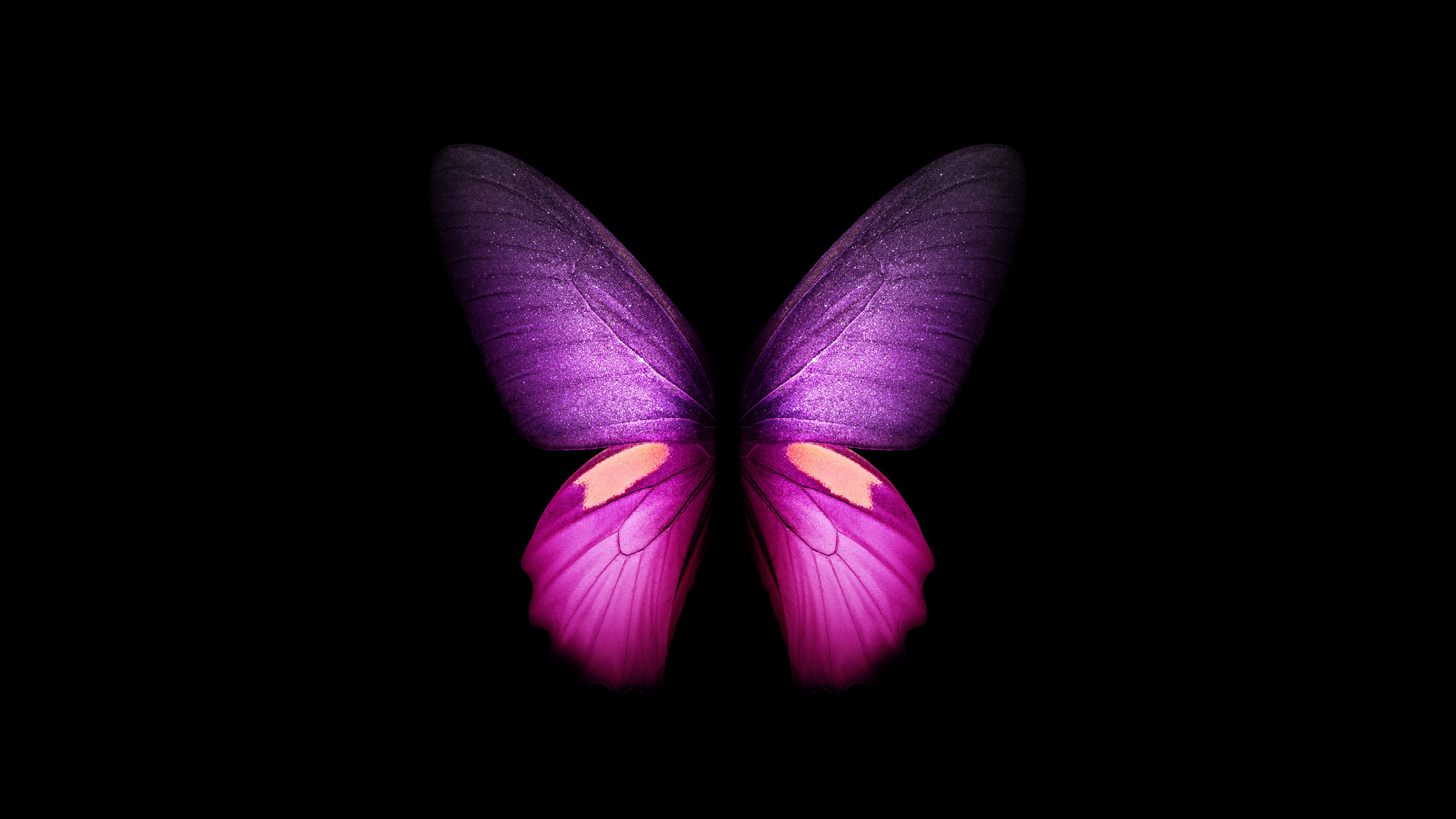 Purple Butterfly Wallpaper 4K, Wings