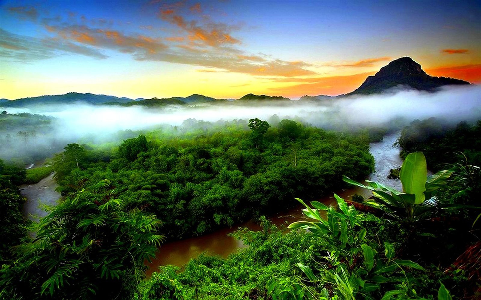Tropical Rainforest Mist Evaporation