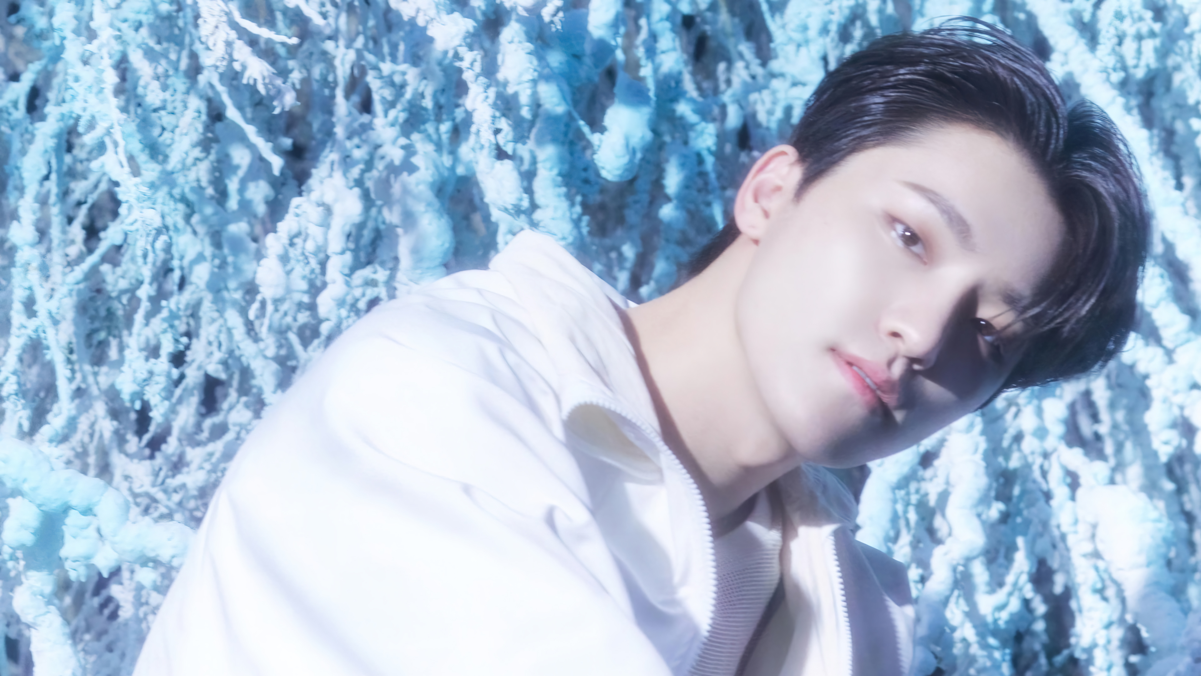 Dino Seventeen Sector 17 Wallpaper 4K