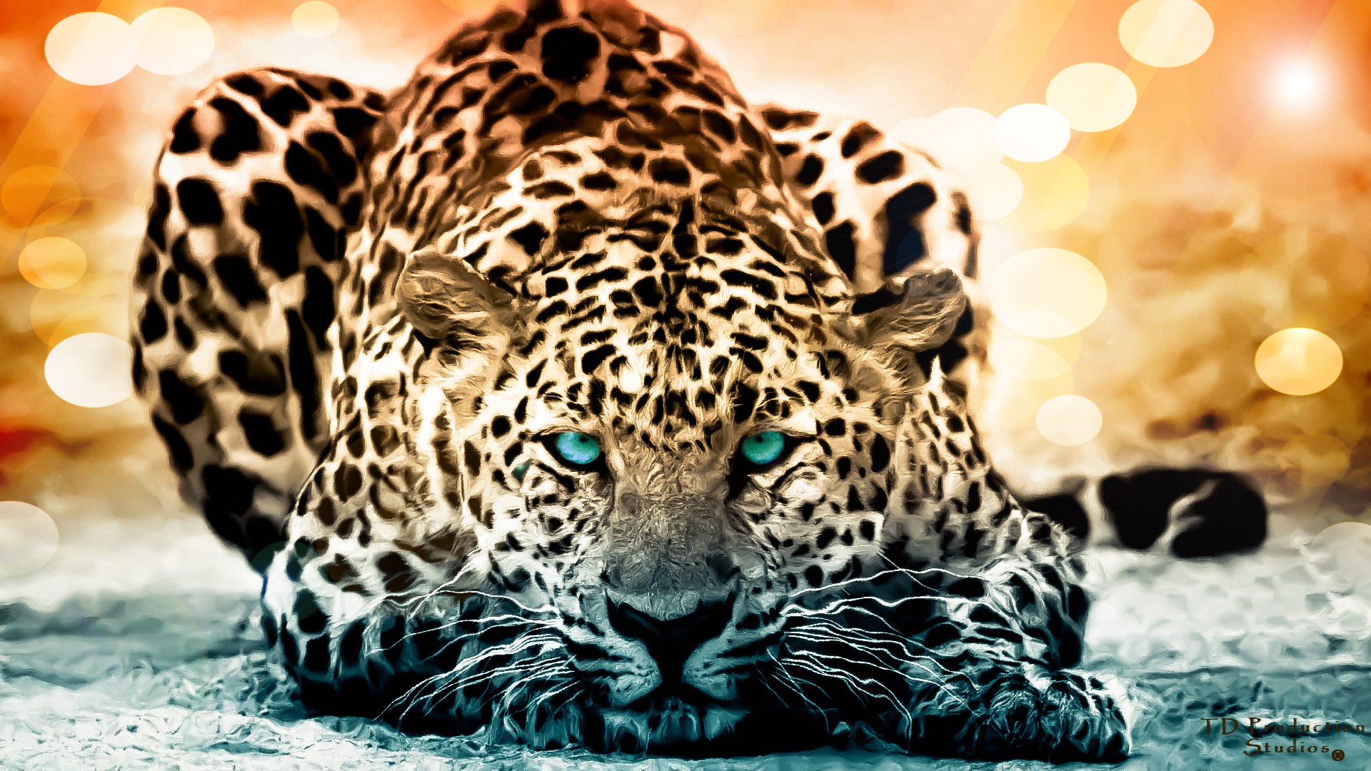 Jaguar Eyes Wallpaper 19355