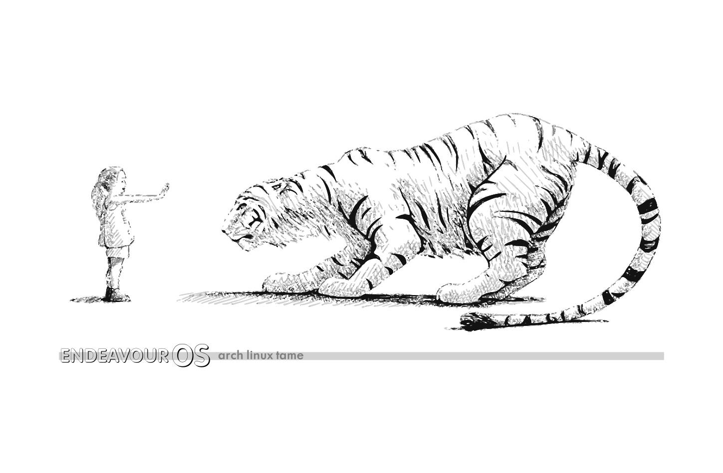 Wallpaper for desktop background