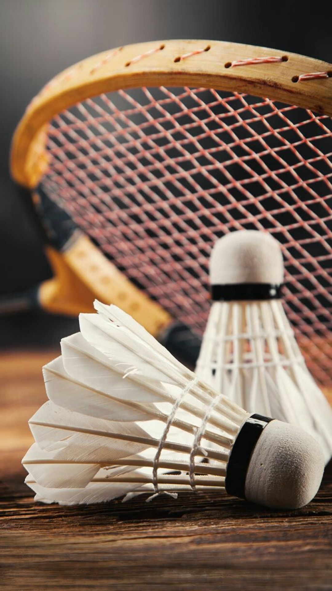 Badminton Wallpaper