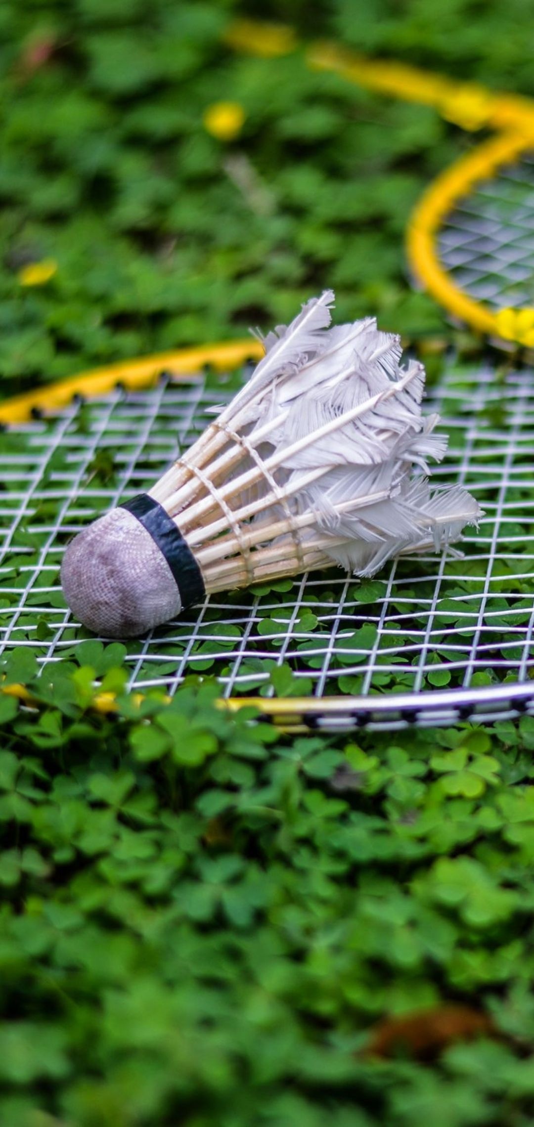 Badminton Wallpaper