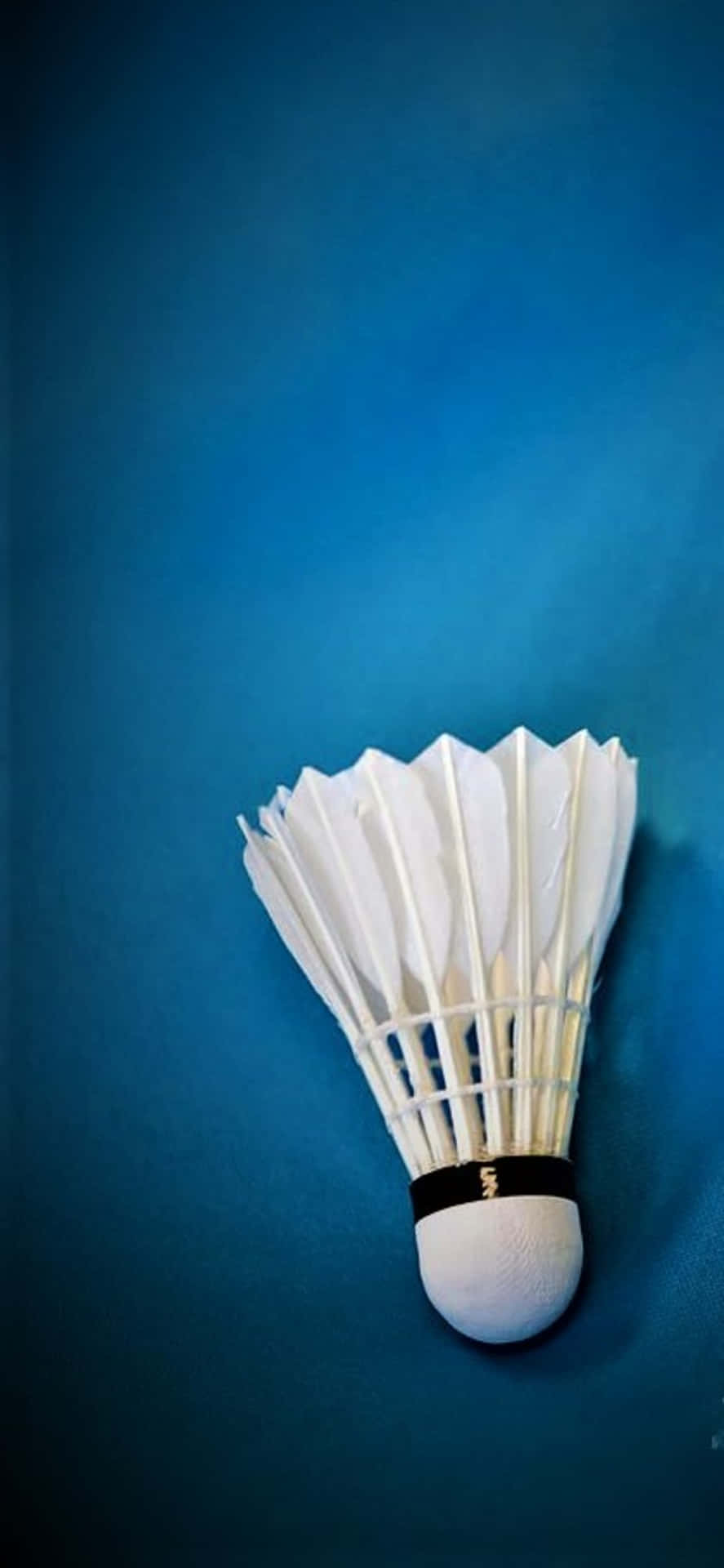 iPhone Xs Max Badminton Background