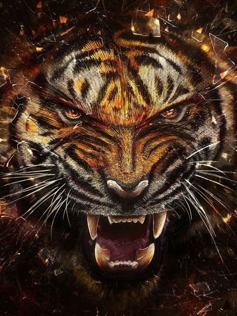 Angry Tiger Animal Wallpaper 874 Non