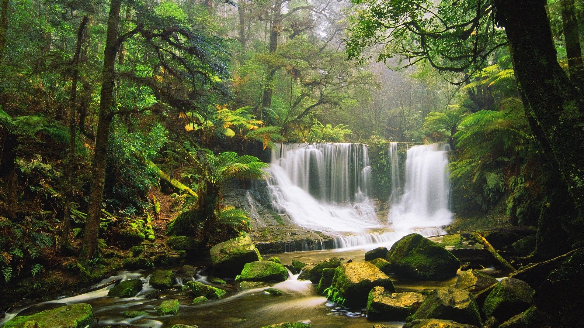 Waterfall, Rocks, Moss Green Forest