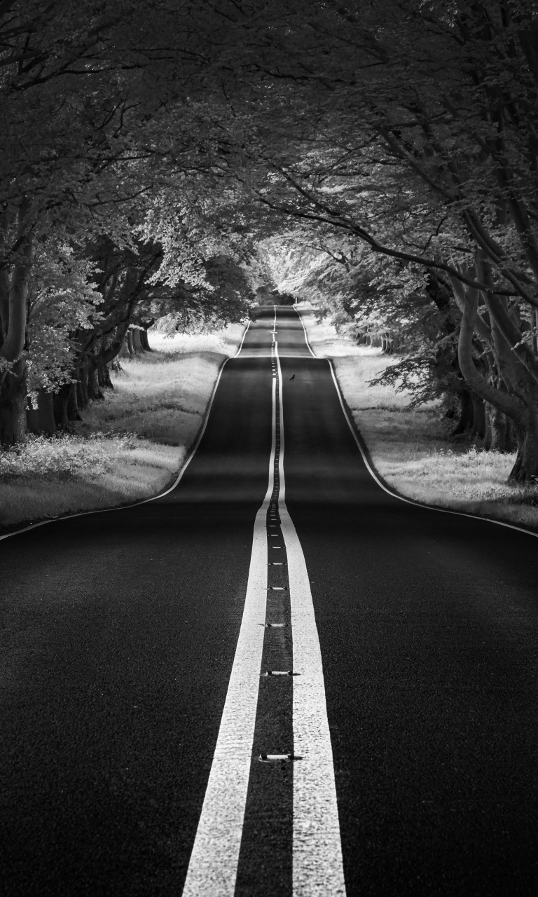 Road Landscape, Aesthetic, Black