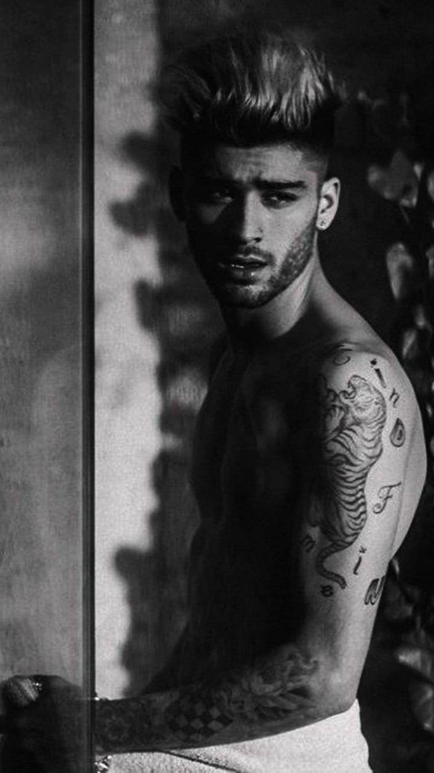 Download free Zayn iPhone In Complex