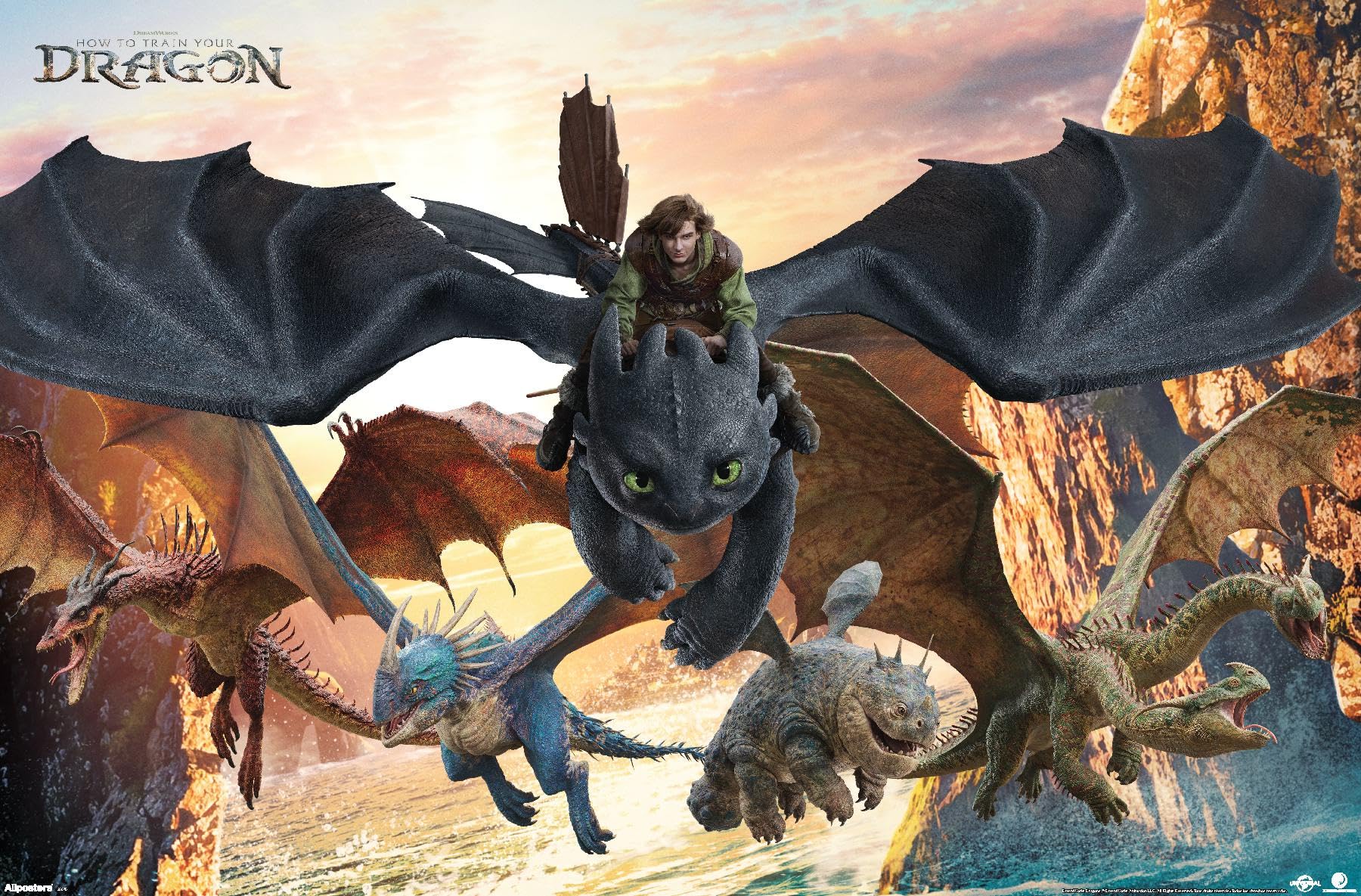 Group Wall Poster, 34L x 22.4W, Premium