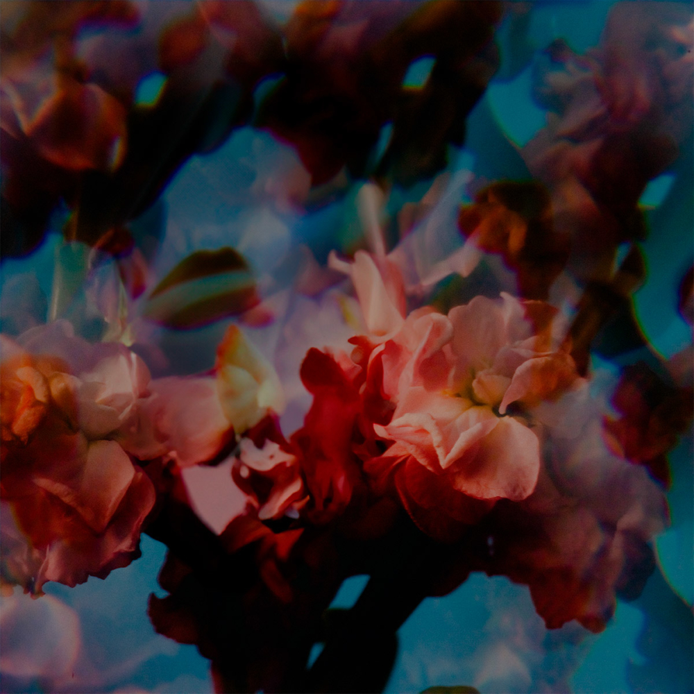 album 'Bloom, ' shares single