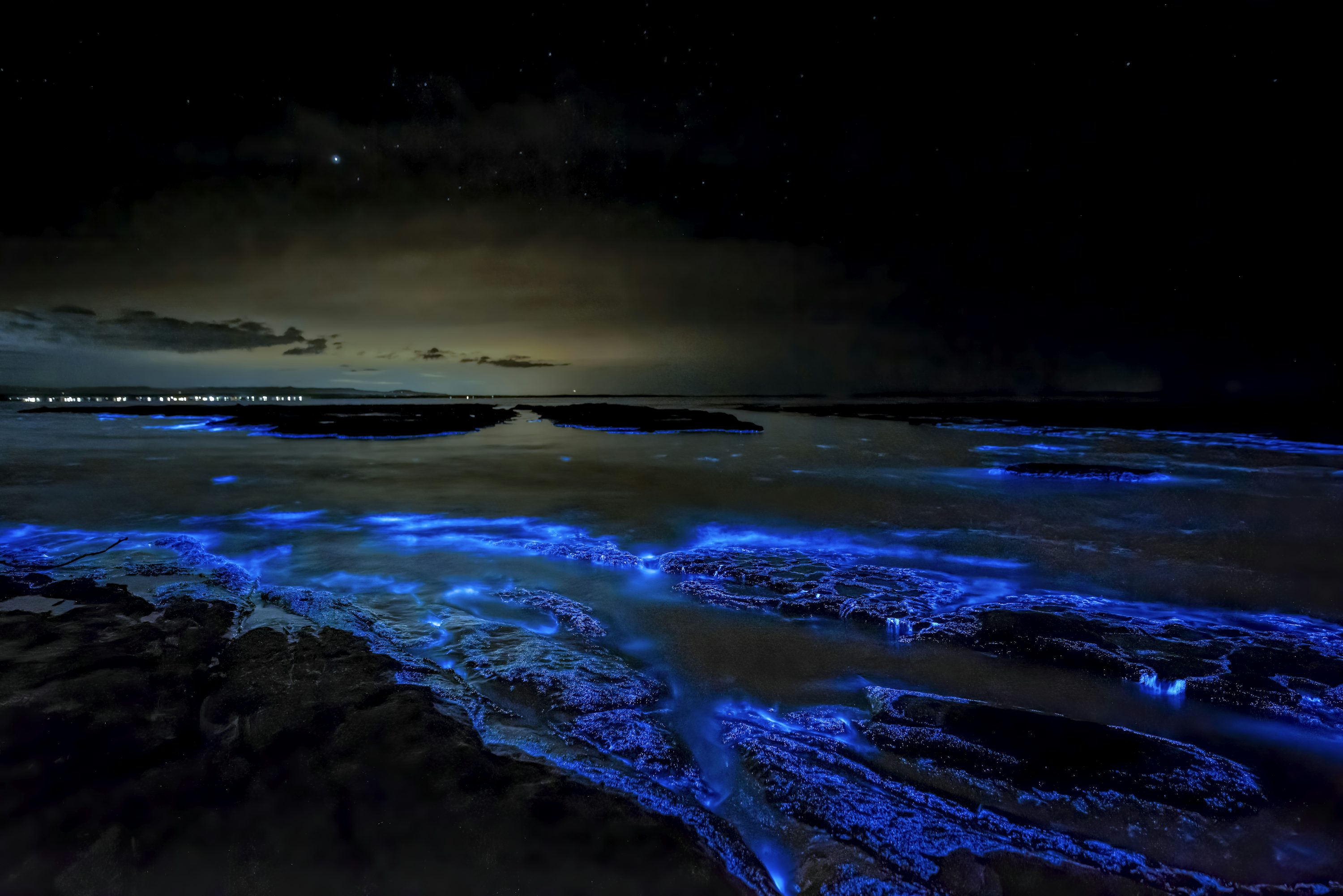 Ocean Night Picture Stunning