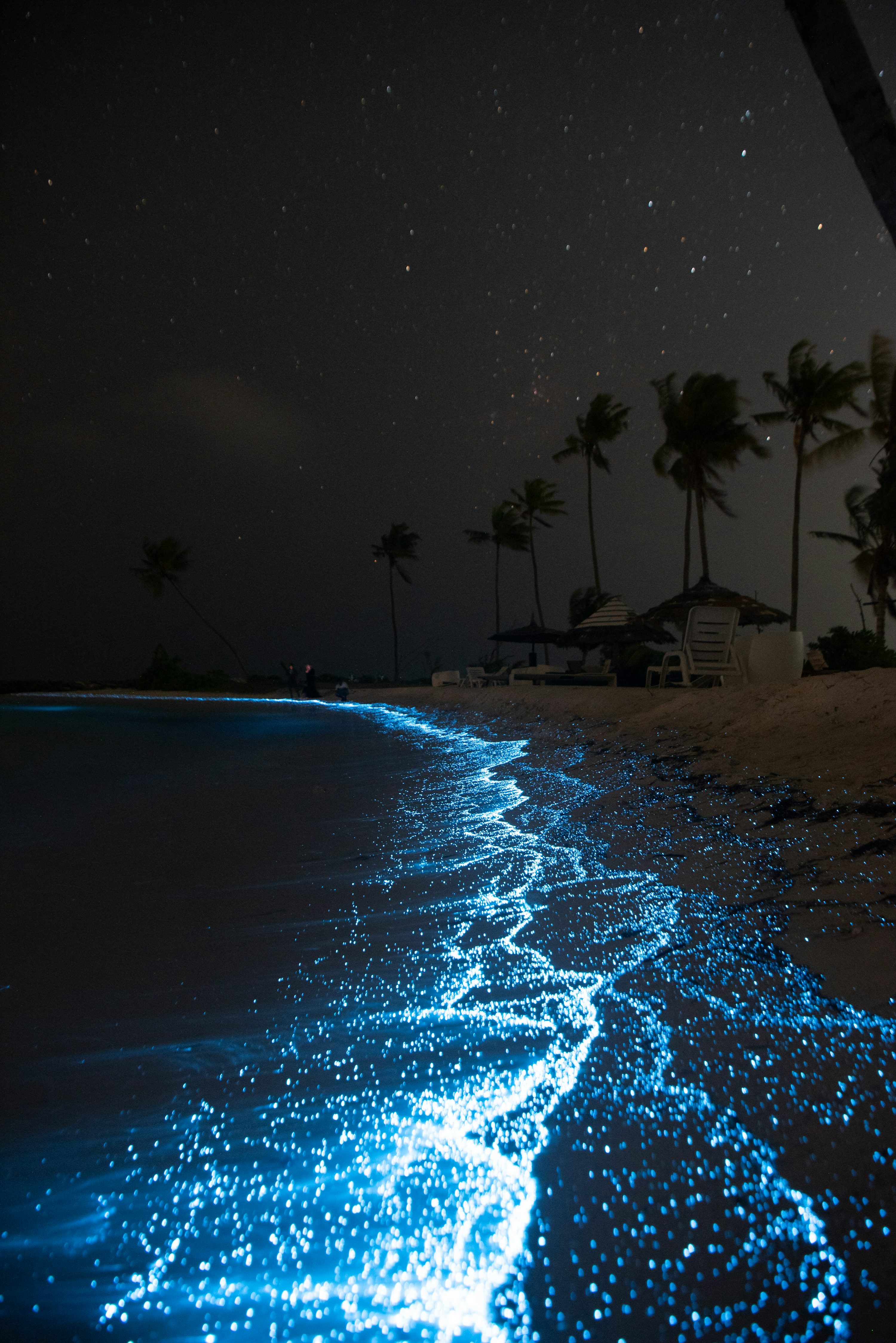 Night Beach Picture. Download Free