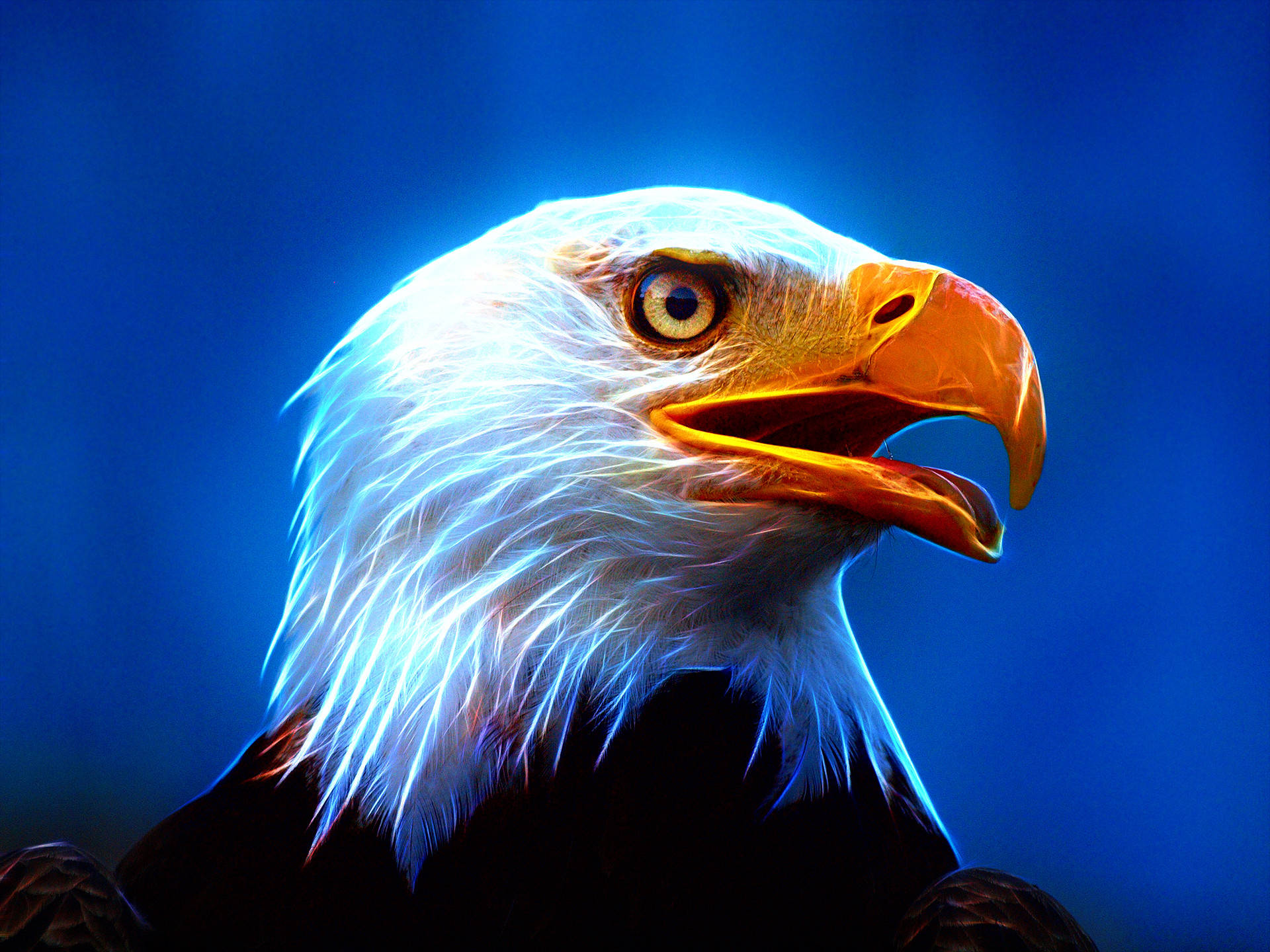 Eagle Wallpaper