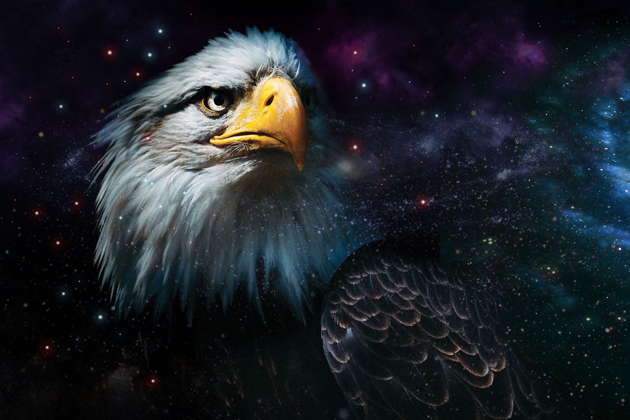 SPIRIT ANIMALS: IS THE EAGLE YOUR