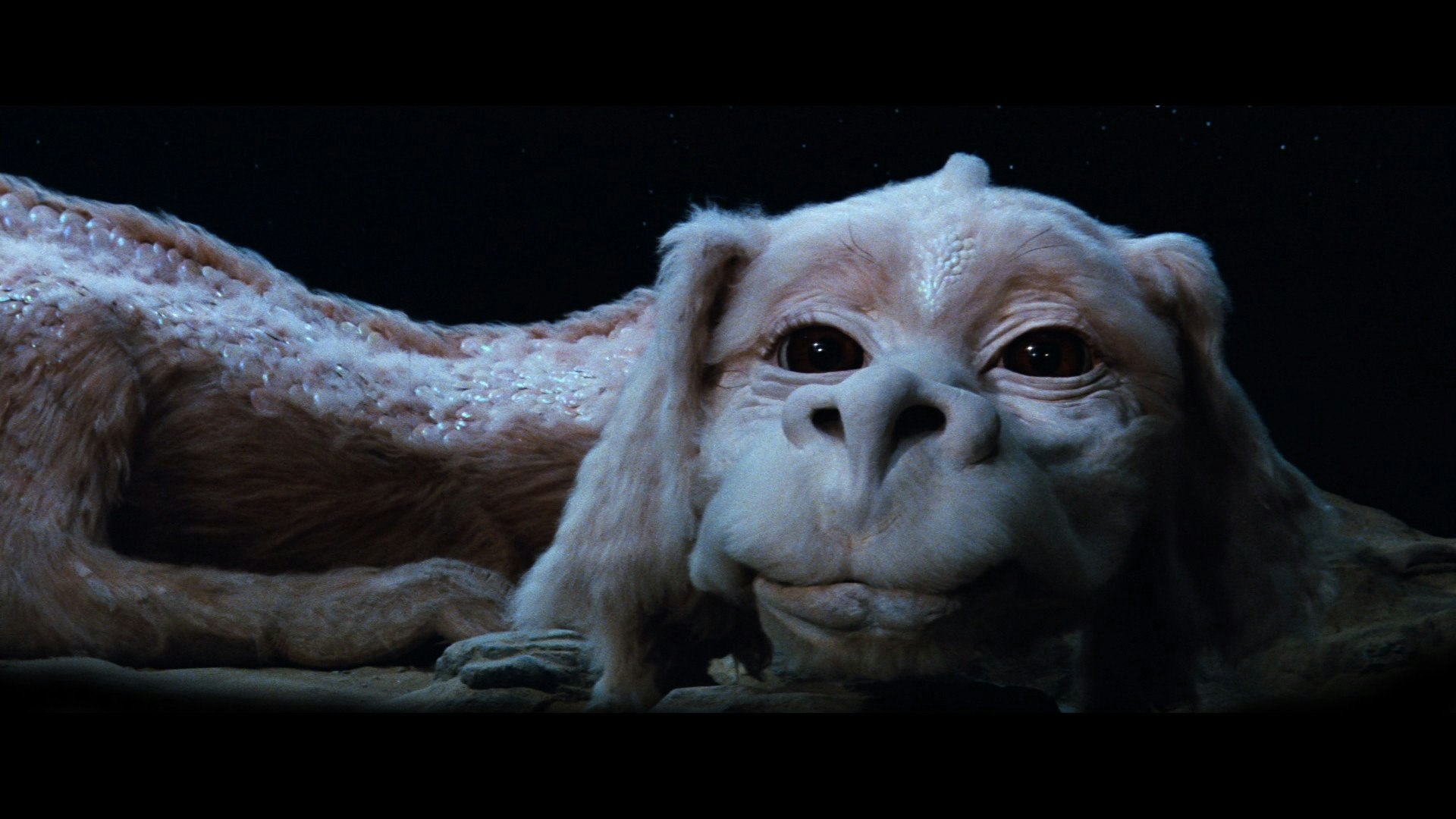 The NeverEnding Story Review. Movie