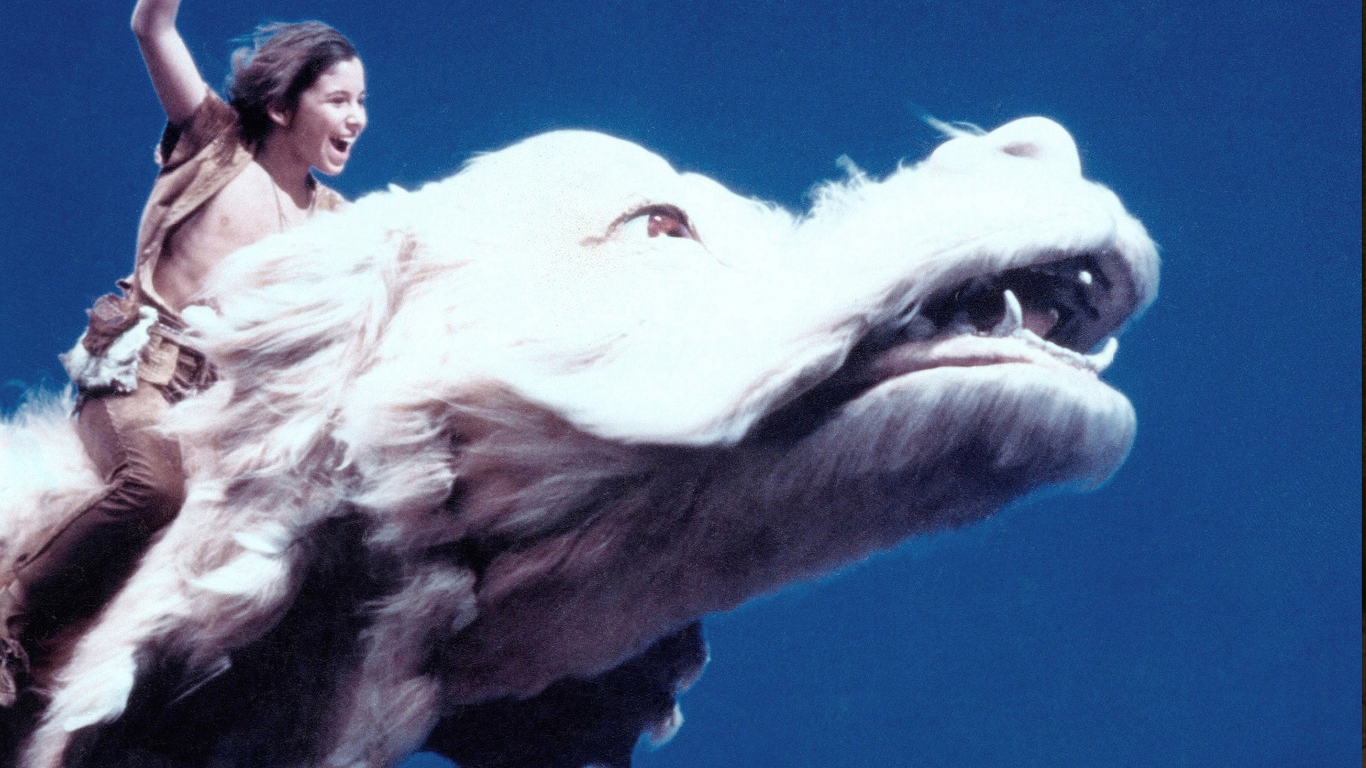 THE NEVERENDING STORY