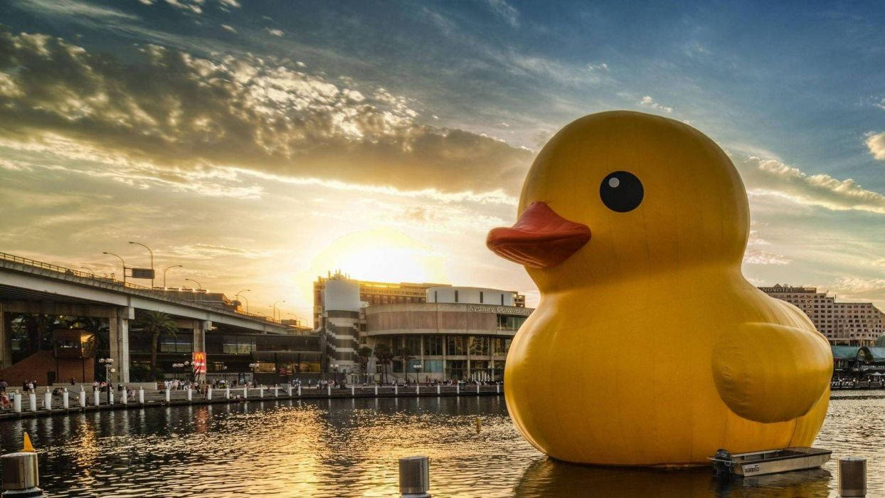 Download free Giant Rubber Duck