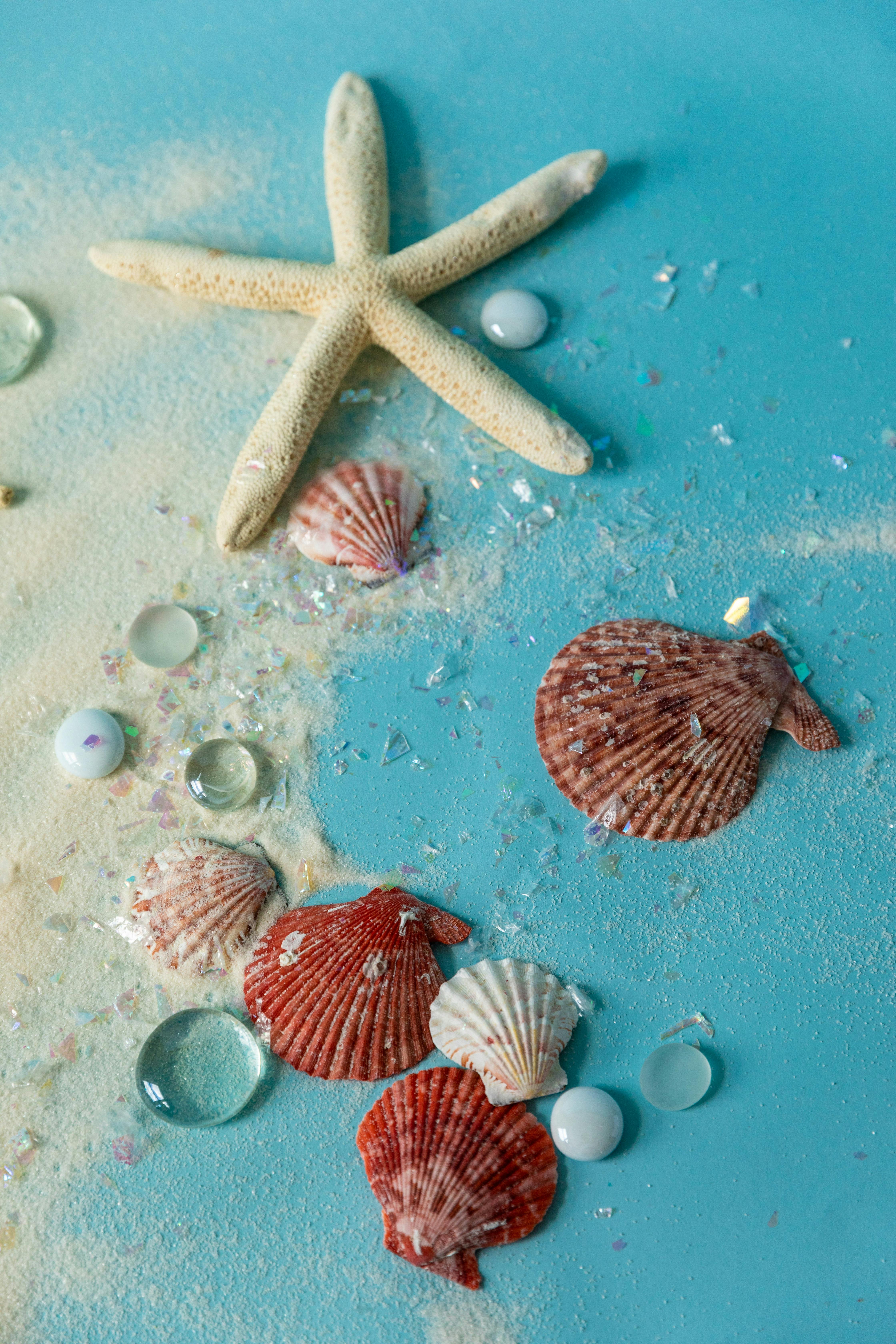 Starfish and Pearls · Free