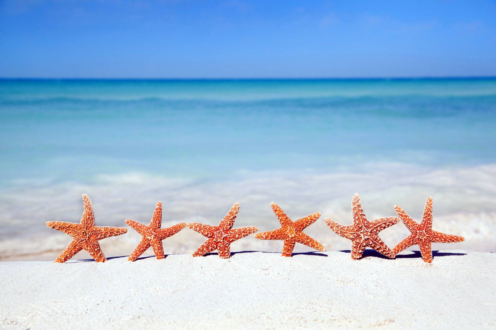 The Starfish Story