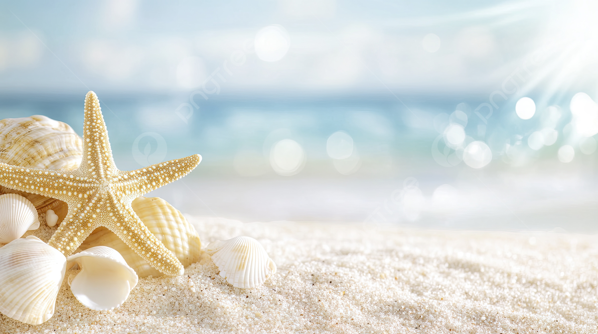 A Starfish Is On Beach With Shells