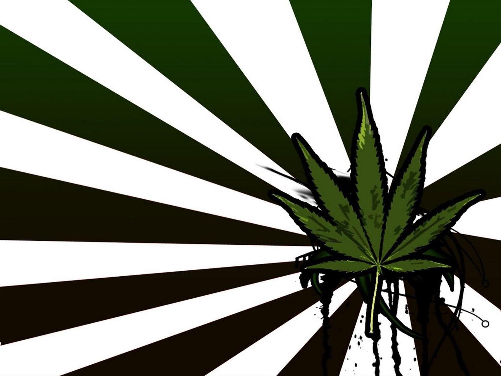Marijuana Flag Helping You Show Your True Stoner Pride