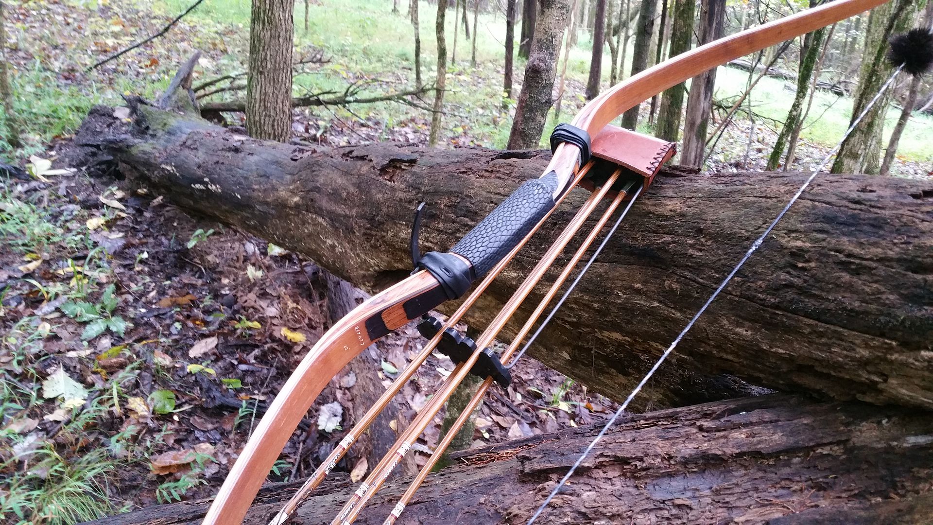 Bow Pics. Randall's Adventure