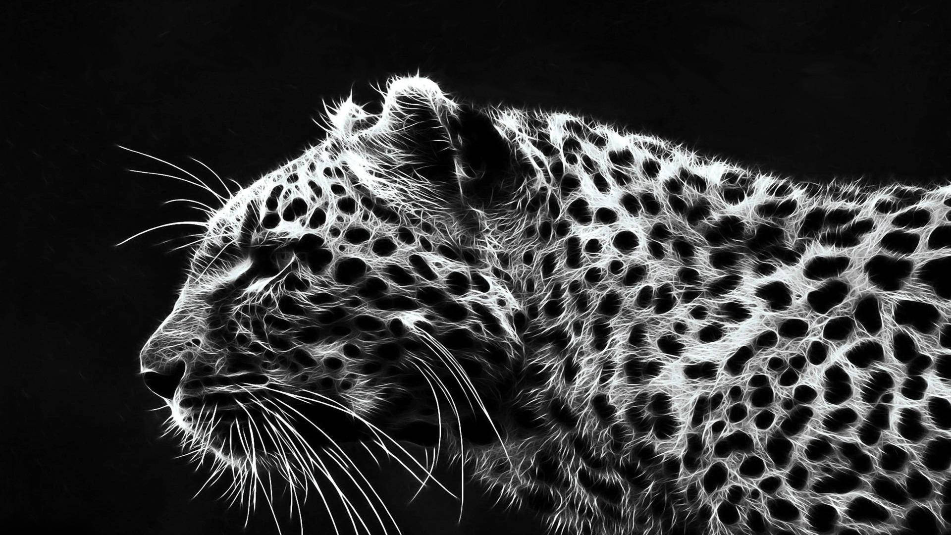 Download Cheetah Wallpaper
