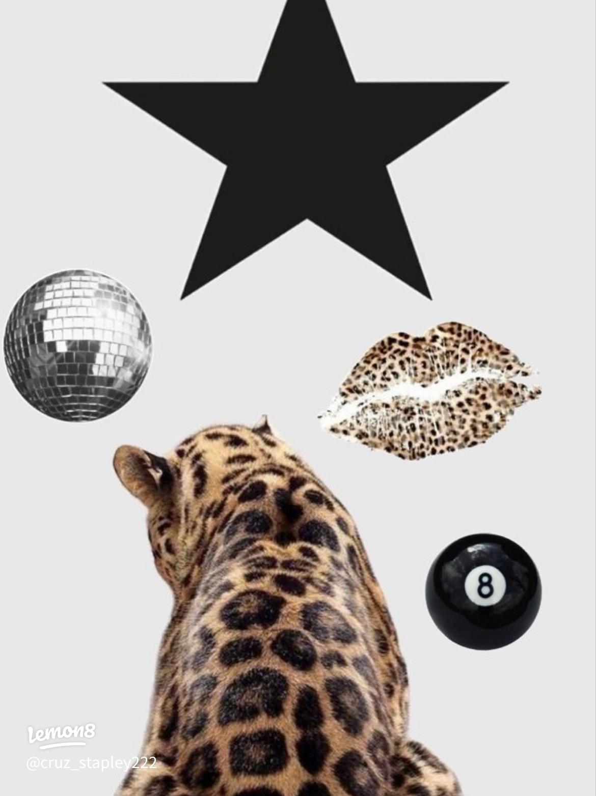 Adorable Black, White, and Cheetah Wallpaper for Your Space