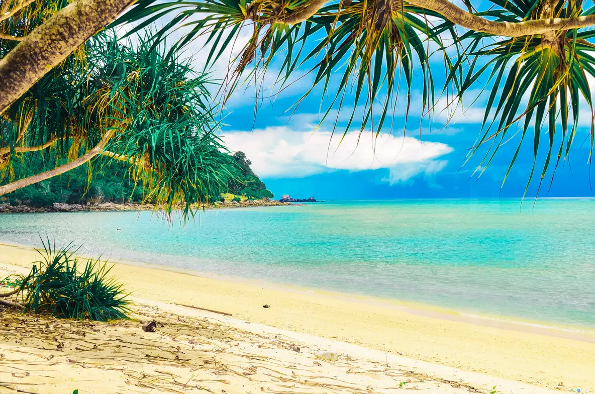 Perfect Tropical Beach Photo