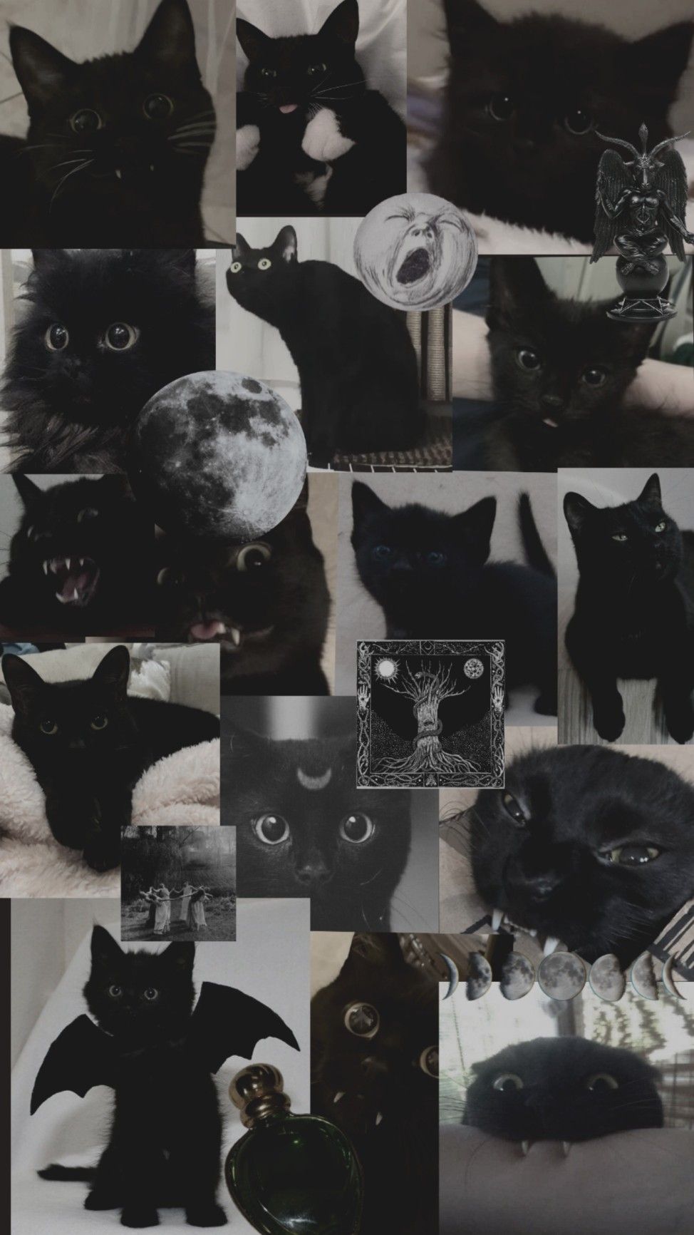 cat wicca black dark aesthetic wallpaper