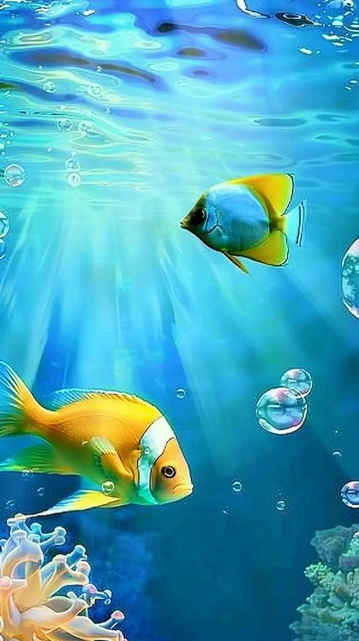 Helvetica Aqua Aero Phone Wallpaper