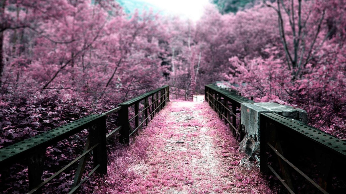 Sakura Garden Natural Landscape Wallpaper