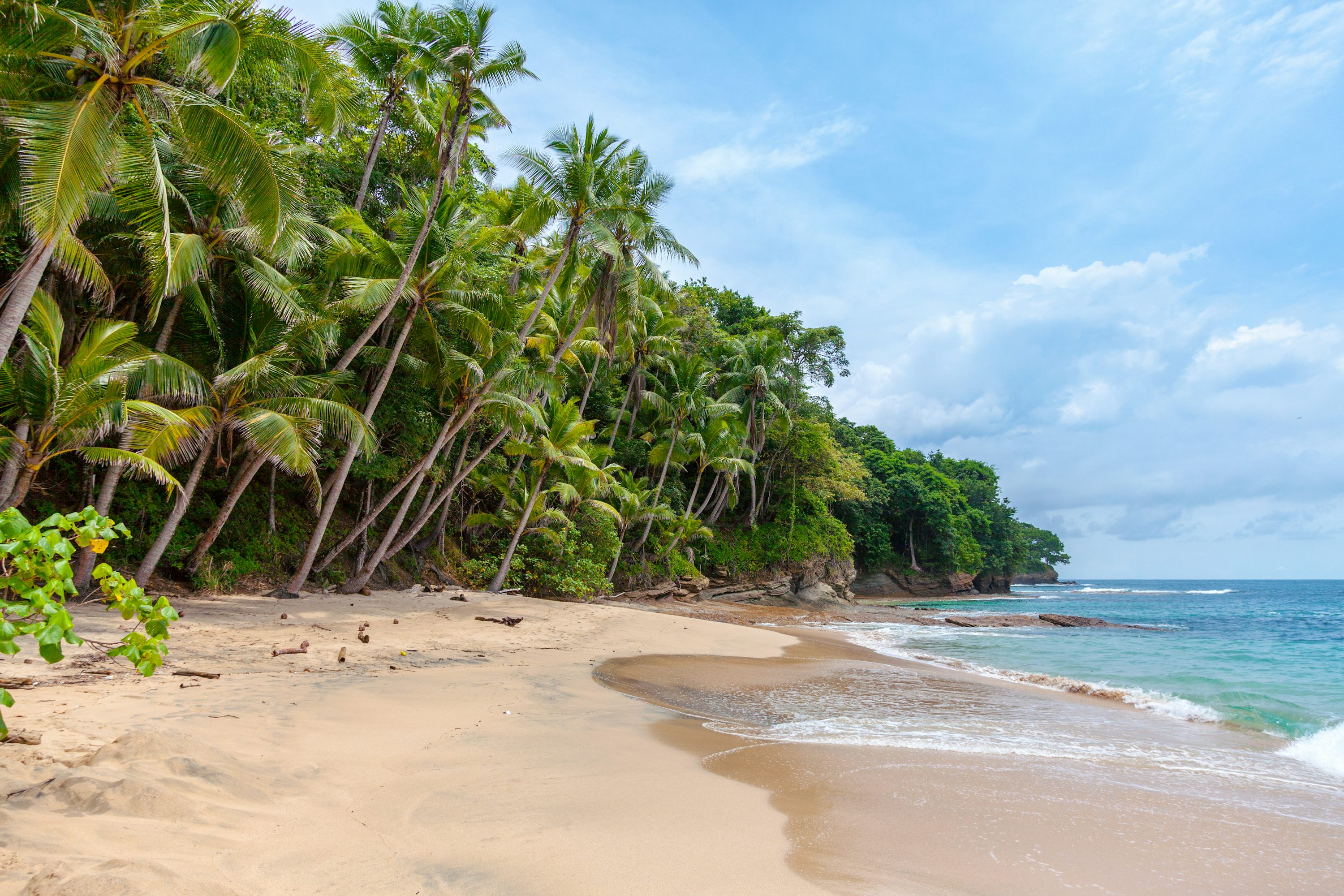 Tropical Island Picture [HD]. Download Free Image