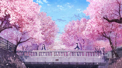 Cherry Blossom HD 4K Wallpaper PC & Phone
