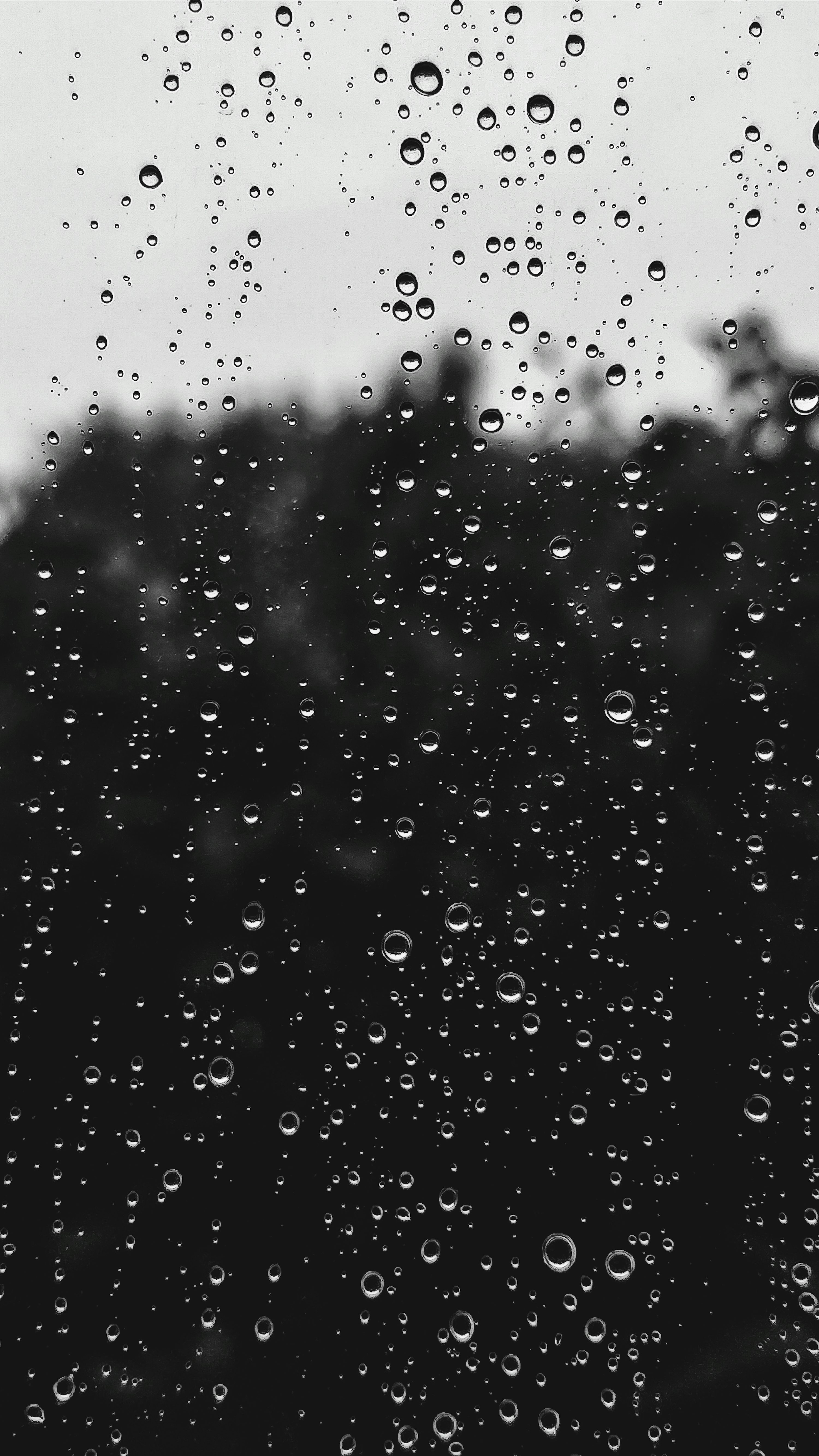 Rain Picture. Download Free Image