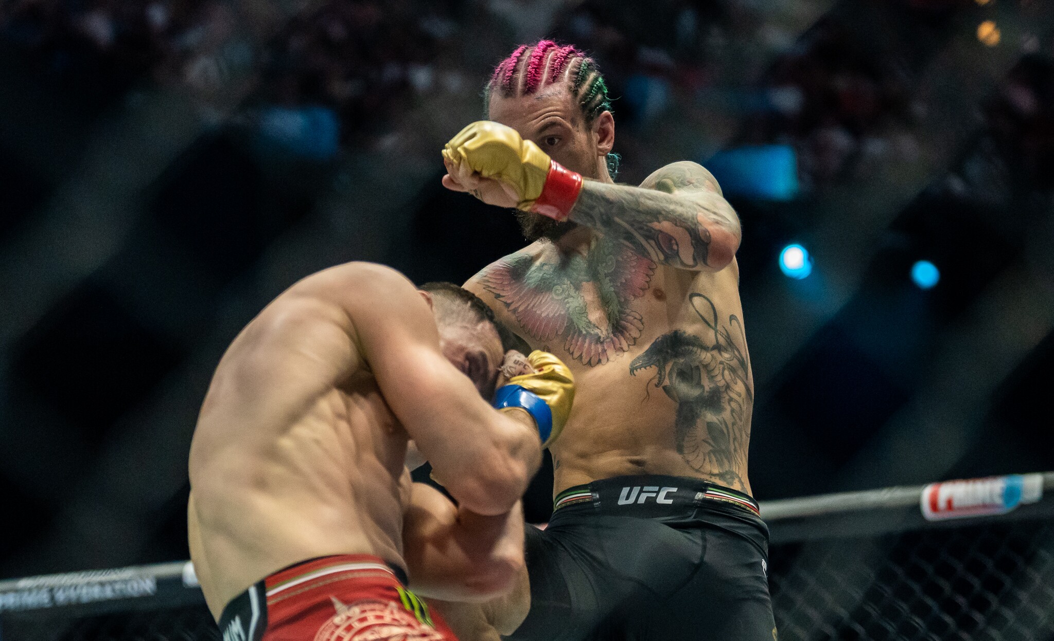 Photos: Sean O'Malley fights Merab Dvalishvili at UFC 306 for bantamweight title
