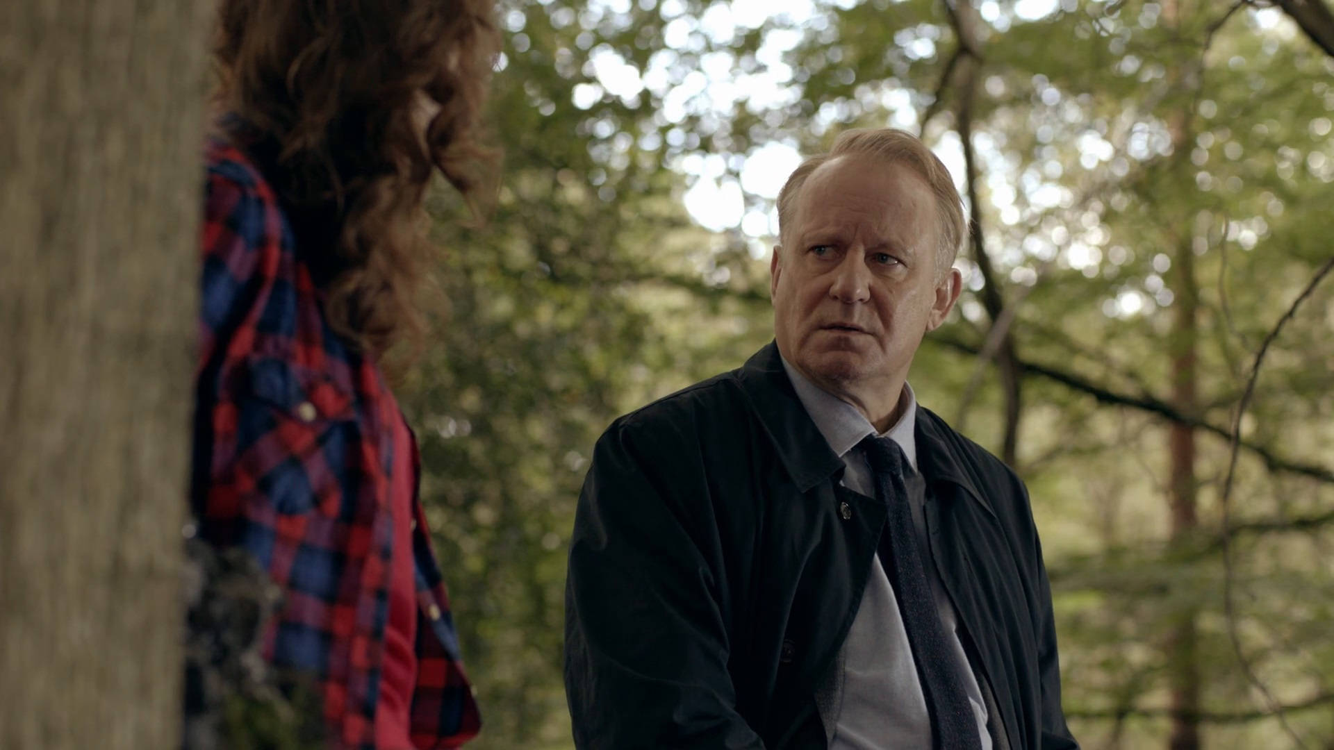 Download Swedish Actor Stellan Skarsgard in TV Series 'River' Wallpaper