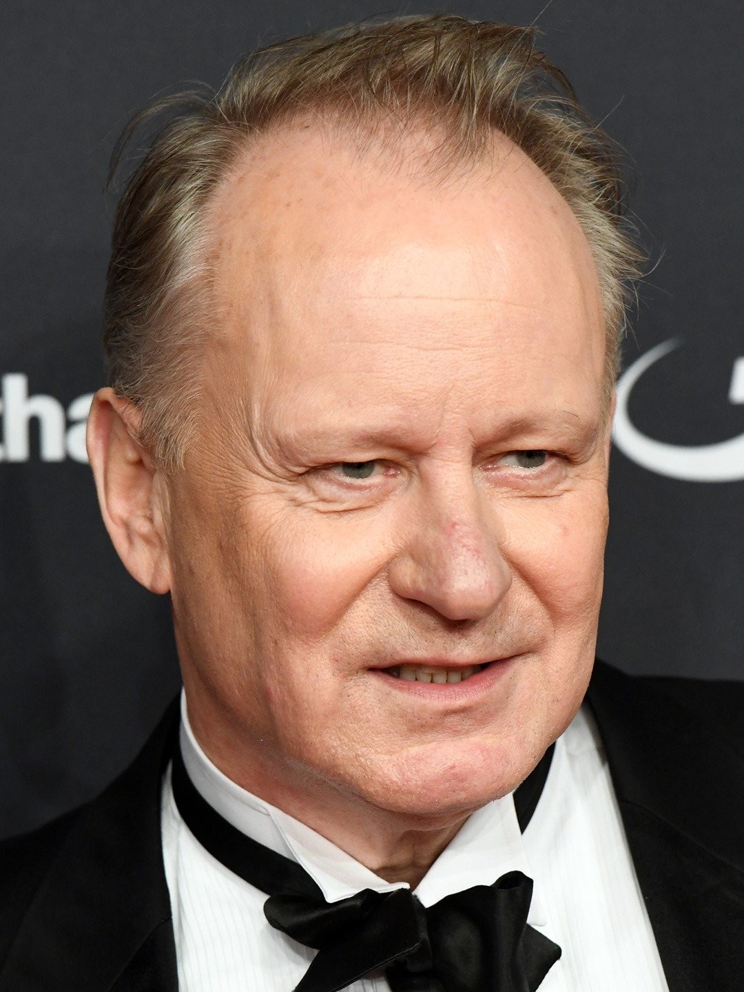 Stellan Skarsgård Picture