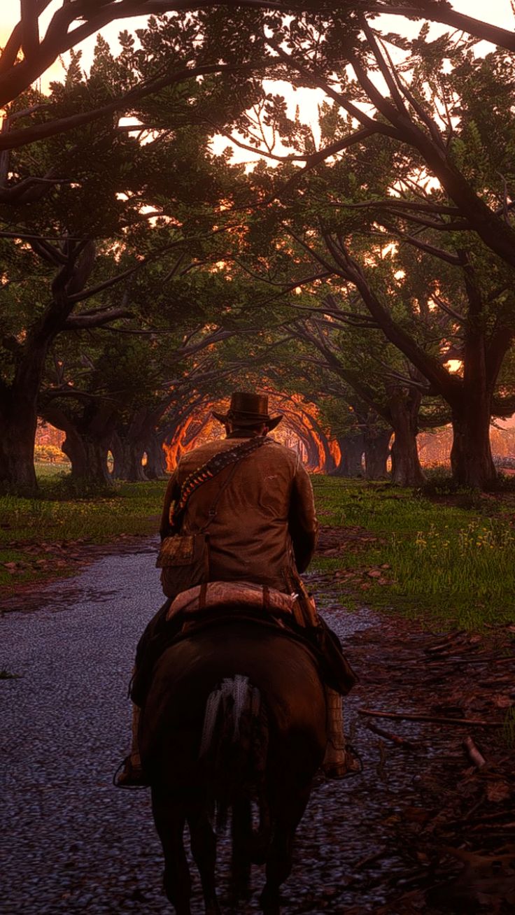 Arthur Morgan Wallpaper. Braithwaite Manor Wallpaper. Beautiful RDR2 Wallpaper