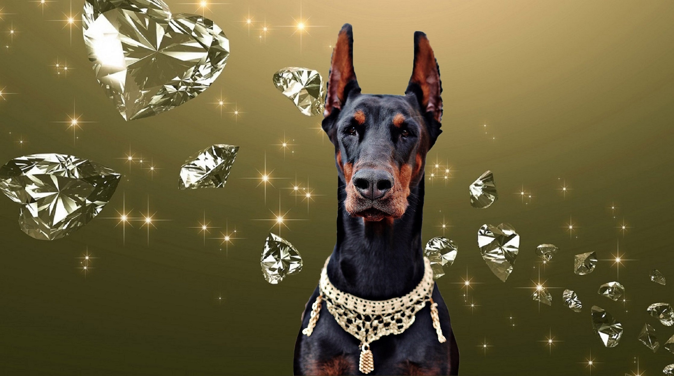 Free Image, light, art, diamond, doberman, computer wallpaper, dog like mammal, dobermann 2236x1248