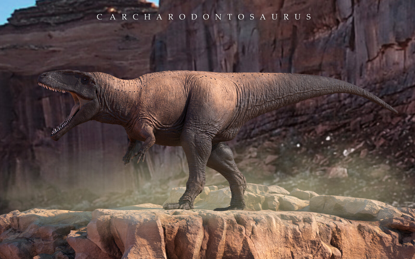 Carcharodontosaurus