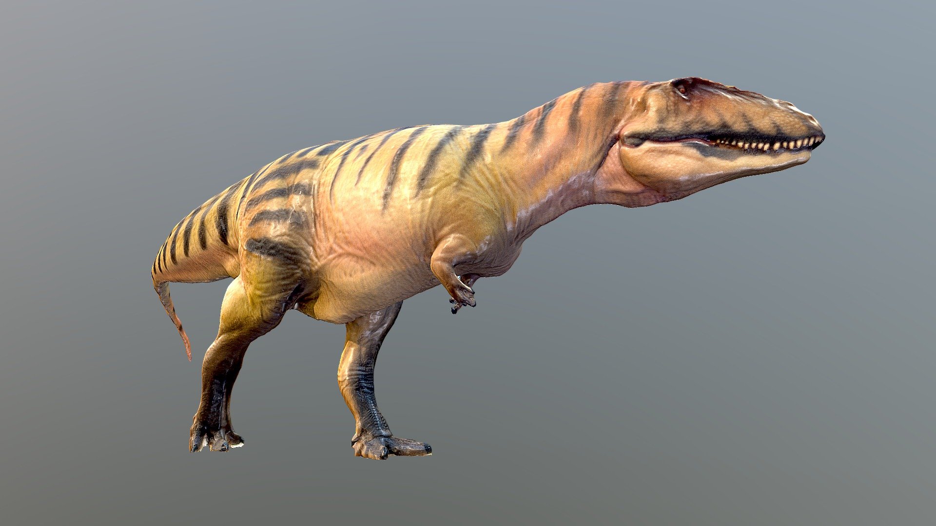 Carcharodontosaurus