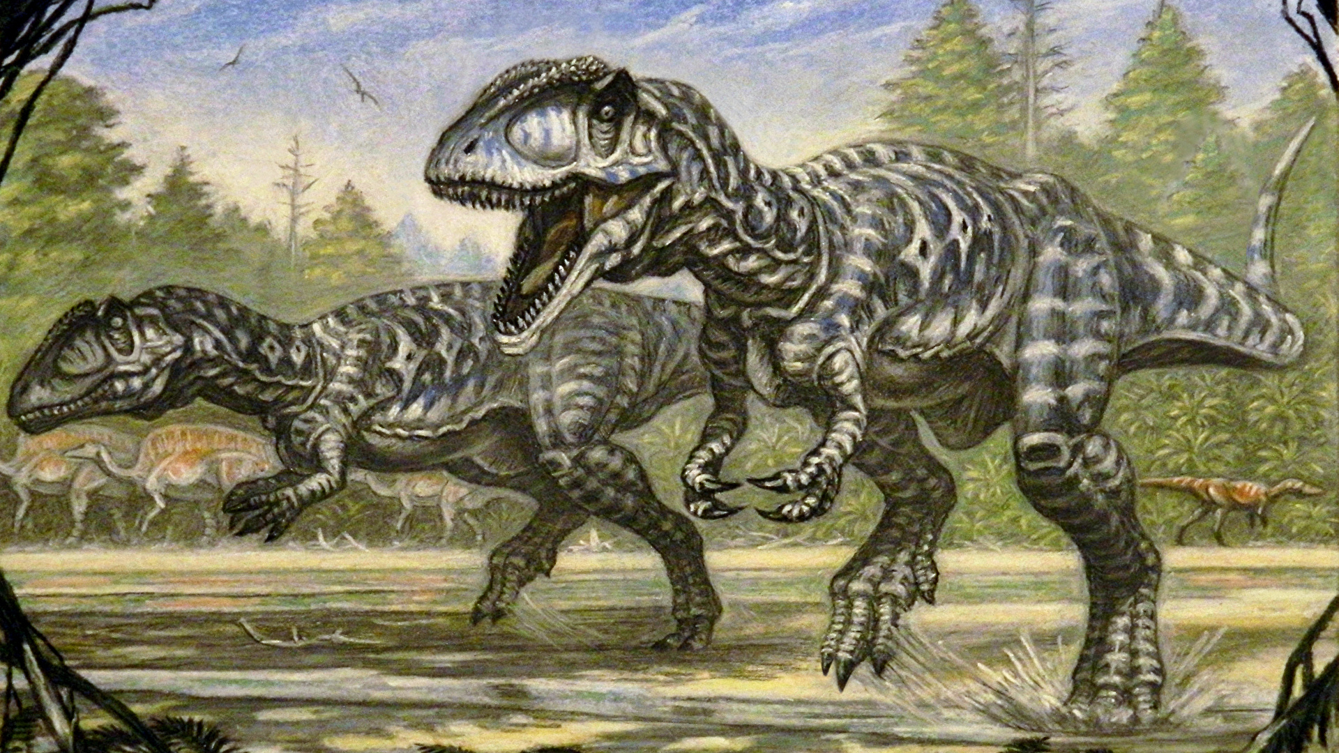 Photo Dinosaurs Carcharodontosaurus Two Animals Painting 1920x1080